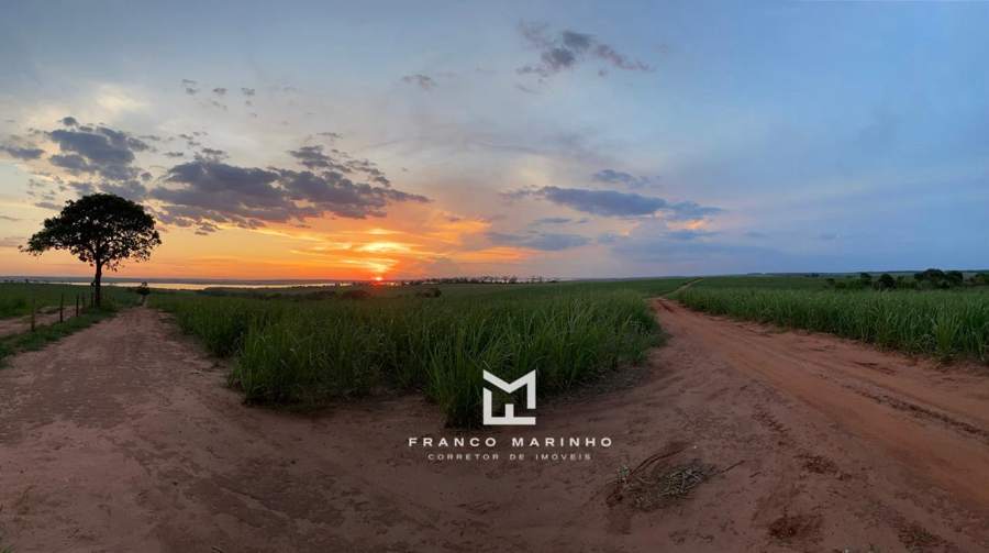 Pôr do sol sobre a cana