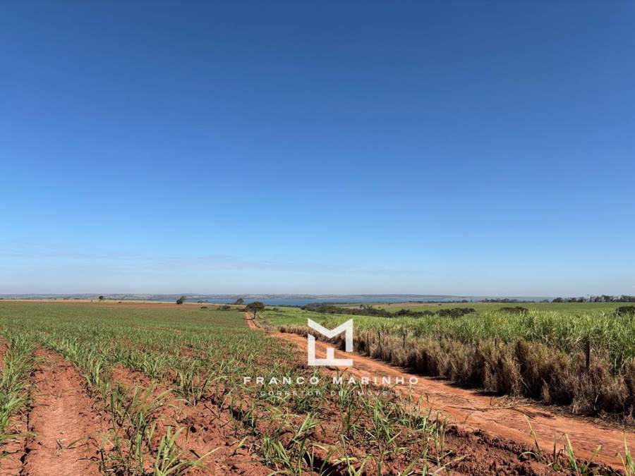 Área de cana com vista para a água