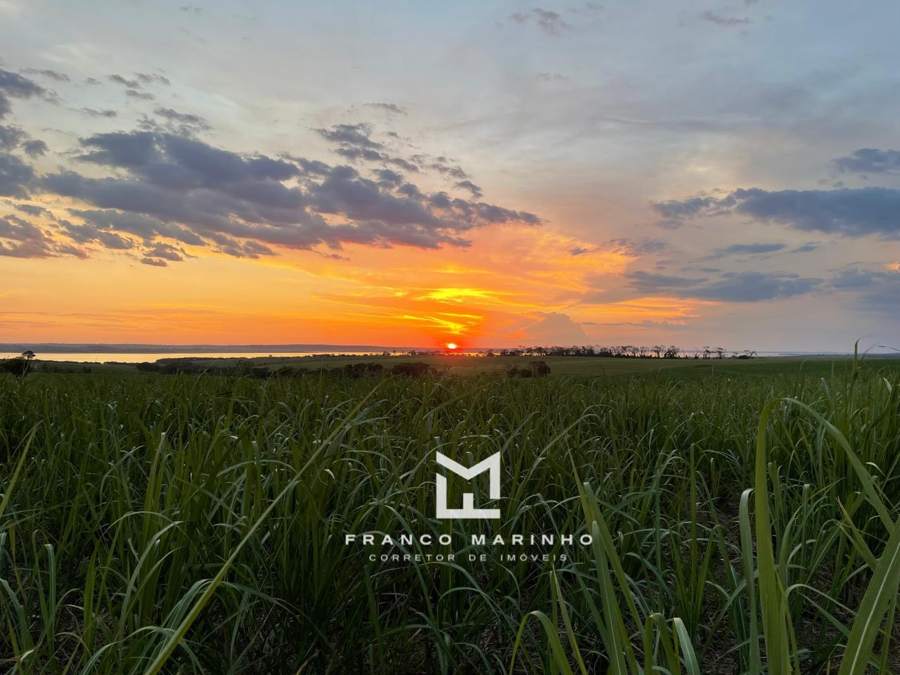Cana plantada ao entardecer